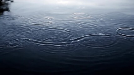 Wall Mural - Raindrops impacting a still body of water, generating delicate, expanding circles, captured with a high-angle, locked-off shot and soft light weather, locked-off shot, refreshing