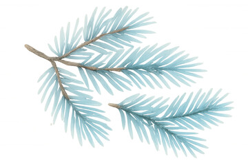 Wall Mural - Blue spruce fir branch with icy needles for winter holiday and christmas design element on transparent background