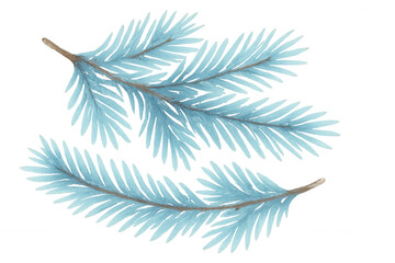 Wall Mural - Blue watercolor fir tree branches for winter holidays, christmas, and new year decoration, transparent background