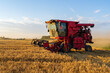© zhengzaishanchu - The combine is harvesting the wheat in the evening