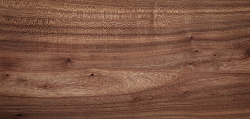 Wall Mural - Elm wood texture. Super long elm planks texture background.Texture element. wood texture background.	