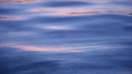 Wall Mural - a slow, macro close-up reveals abstract, ever-changing light patterns dancing on the surface of a tr