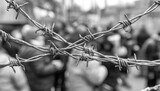 Close-up view of rusted barbed wire.