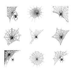 Spider on Web - Creepy Halloween & Entomology Engraving Set