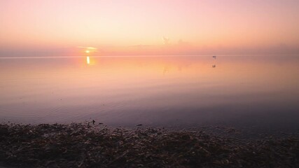 Wall Mural - Beach Ocean Sea Sunrise Bird Flying