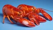© Babb - Two large bright red lobsters are arranged on a smooth blue surface showcasing their claws and texture. These freshly cooked seafood delicacies are prepared for dining.