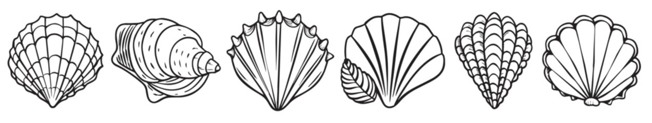 set of hand drawn seashells isolated vector illustration