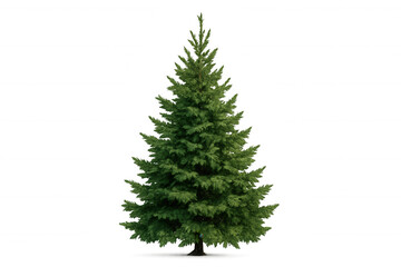 Wall Mural - Green conifer tree isolated on transparent background, symbolizing nature, forest, and christmas celebration