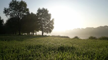Wall Mural - Soft morning haze permeates the sky, creating a diffused, gentle light over a calm, awakening landscape beauty, serenity, peaceful