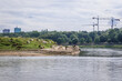 Goats on a small islet on the River Vistula in Warsaw capital city, Poland