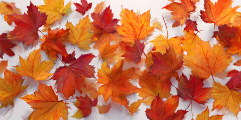 a colorful assortment of fallen maple leaves in autumn hues of red, orange, and yellow, spread out o