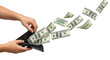 © Trym - Isolated close-up of money falling out of a wallet, demonstrating financial troubles concept