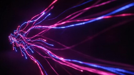Wall Mural - Abstract Motion Graphics with Fluorescent Pink and Blue Light Trails on Black