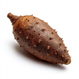 A close-up shot of a fresh and spiky salak fruit, showcasing its unique texture and shape.