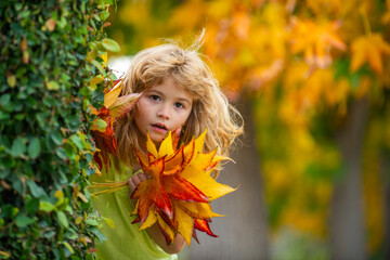 Wall Mural - Child portrait with autumn leaves. Little boy on a dreamy fall day in the autumn park. Childhood fun with falling maple leaves outdoors. Autumn day with a child. Kids face in autumn fall leaves.