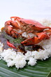 © SametPhotography - Crab in rice