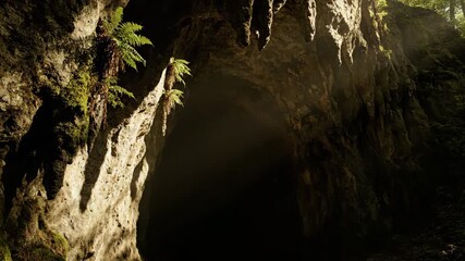 Wall Mural - ﻿sunlight and shadows slowly shifting across a rugged cave entrance in a natural timelapse rugged, d