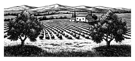 Wall Mural - olive trees field house and mountains landscape black and white outline line art drawing