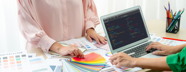 Software development programming on computer screen for brisk application and program coding
