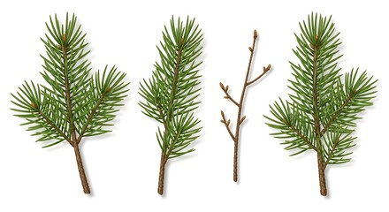 Illustration of collection of pine and bare tree branches isolated on white background