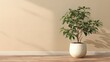 © alif - Interior shot with potted leafy plant casting a shadow on a beige wall and wooden floor