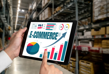 Wall Mural - E-commerce data software provide modish dashboard for sale analysis to the online retail business