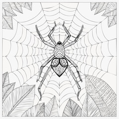  zentangle spider queen ornate web throne art-print vector for stationery and coloring posters
