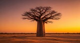 Majestic baobab tree silhouetted against a dramatic orange sunset in arid landscape