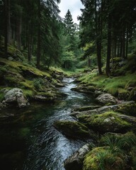  Forest River Landscape with Moss Rocks, Serene Forest River Landscape in Green Woods, Peaceful Forest River Landscape Nature Scene