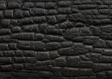 An extreme close-up reveals the deeply charred and cracked surface of burnt wood. The coal-black texture is deeply patterned with segmented, blistered sections, creating a rich, abstract background th