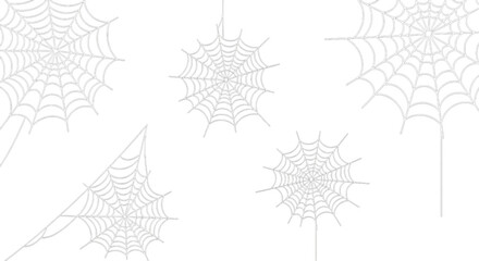 Delicate spiderwebs on transparent background