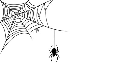 Spider web with a hanging spider isolated on transparent background