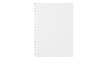 © Leon - Isolated notebook paper with perforated edge for office supplies and art projects