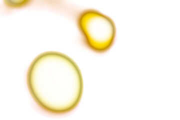 Wall Mural - Yellow glowing light spots on transparent background. Abstract round soft blur highlights, bright luminous circles with smooth edges. Digital glow effect for overlays, decoration, and creative design.