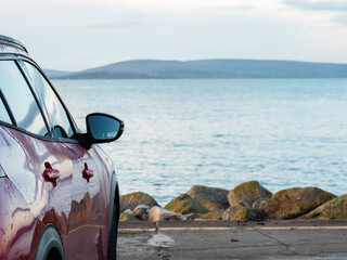 Wall Mural - Red car parked in car park with stunning view on nature scenery with ocean and mountains and cloudy sky. Silverstrand area, Galway city, Ireland. Rent motor for a tourist trip concept.