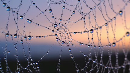 Spiderweb Covered in Dewdrops Against a Colorful Sunset Sky