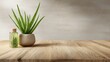 © RANO AKTER SANTA - Aloe vera plant with oil bottle on wooden table surface