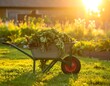 © Slebew - Garden wheelbarrow full of weeds at sunset