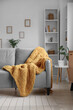 © Pixel-Shot - Shelving units and plaid on grey sofa in stylish living room