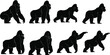 © Noman Art - Gorilla silhouettes, primate illustration, wildlife artwork, animal locomotion design, zoology study art, natural posture drawing, jungle mammal concept