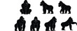 © Noman Art - Gorilla silhouettes, primate illustration, wildlife artwork, animal posture design, zoology study art, natural movement drawing, jungle mammal concept