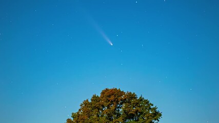 Wall Mural - Comet over tree in starry night, peaceful cosmic wonder in Saules parks