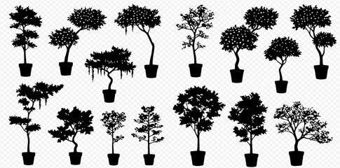 Collection of diverse black silhouettes of various potted indoor and ornamental trees and plants against a transparent background.