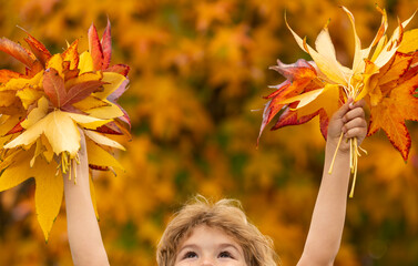 Wall Mural - Kids hands holding a bright autumn leaf. Fall foliage concept. Child playing with yellow and orange leaves hold in hand leaves. Maple leaves in kids hands. Leaf in child hand. Falling autumn leaves.