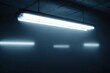 © Farah - Fluorescent light fixtures casting cool light in an industrial setting