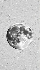 Wall Mural - High-resolution image of a full moon isolated on a pure white background, perfect for graphic design and celestial-themed projects, celestial, sphere, science