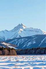 Wall Mural - Serene snow-covered field stretches towards majestic snow-capped mountains under a clear sky. Vast, pristine landscape of winter wonderland, countryside, snowy, pure