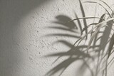 Close-up of rough, textured wall with a shadow of plant leaves in natural lighting