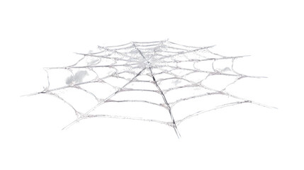 Intricate glistening spiderweb design with fine details, perfect for spooky or nature themes, capturing delicate artistry. A Halloween design
