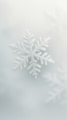 Wall Mural - Delicate snowflake on frosty mobile wallpaper